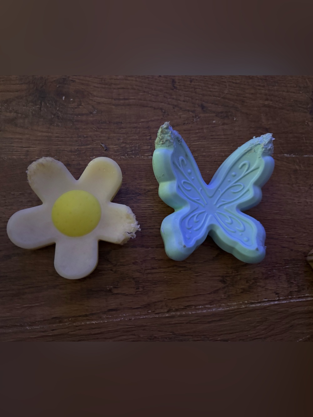 Bark Box Super Chewer L Butterfly and Daisy nylon Dog chew toys
